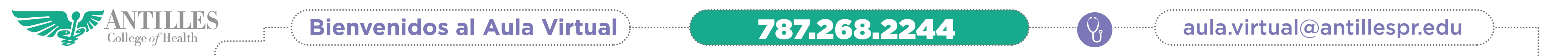 ¡Bienvenidos al Aula Virtual!